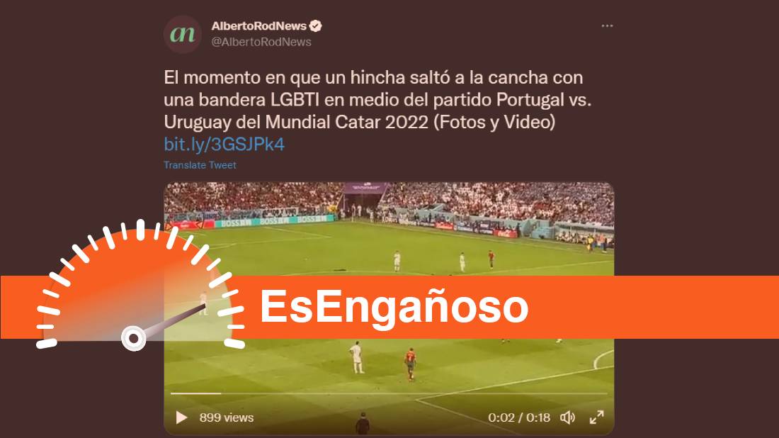 Hincha interrumpió el Portugal vs. Uruguay